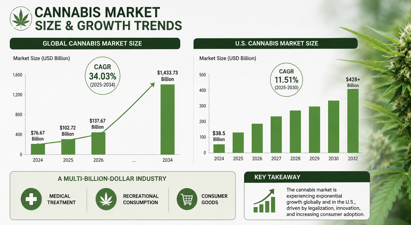 Cannabis market size and growth trends infographic showing global market valuation of USD 102.72 billion in 2025, projected growth to USD 137.67 billion in 2026, and long-term forecast of USD 1,433.73 billion by 2034 at a 34.03% CAGR, alongside U.S. market size of USD 38.5 billion in 2024.